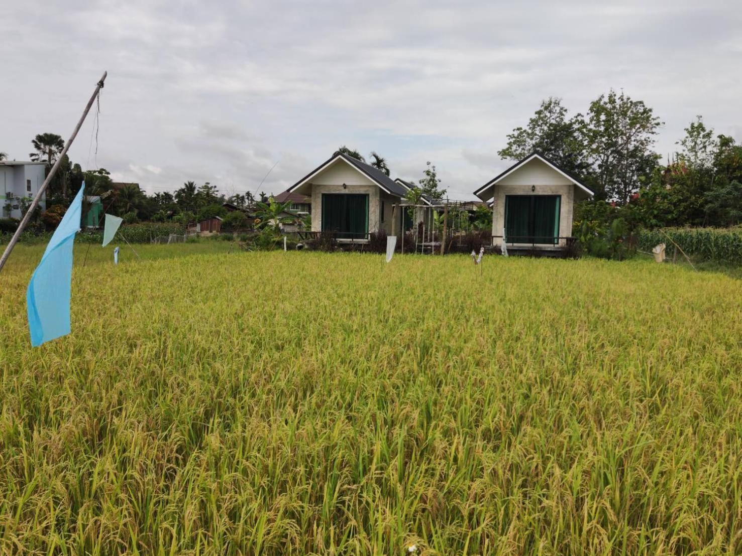 Vieng Pua Homestays Nan Exterior foto